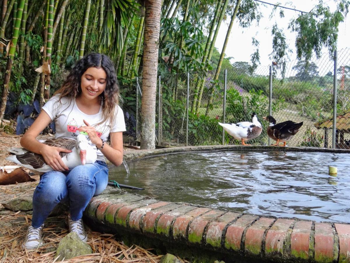 Finca Turistica Los Rosales Перейра Экстерьер фото